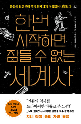 한번 시작하면 잠들 수 없는 세계사 : 문명의 탄생부터 국제 정세까지 거침없이 내달린다