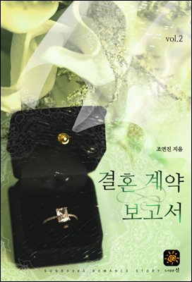 결혼 계약 보고서 2권