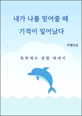 내가 나를 믿어줄 때 기적이 일어났다 : 독학 재수 경험 에세이