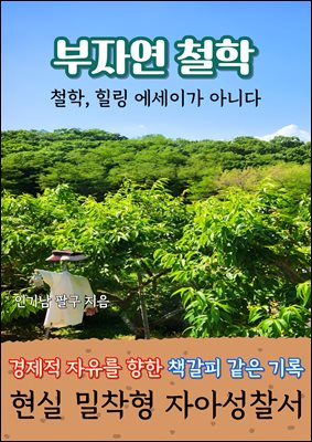 부자연 철학 : 철학, 힐링 에세이가 아니다