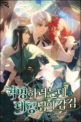 혁명하려는데 대공님이 감김 3권